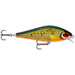 Scaled Roach Rapala Super Shadow Rap