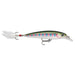 Rainbow trout Rapala X-Rap Jerkbait